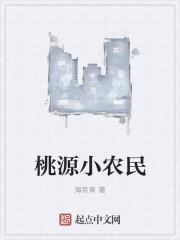 桃源小农民傻小四TXT