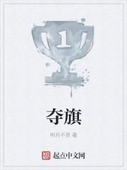 夺旗先登斩将陷阵