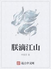 朕的江山亡了雾十免费