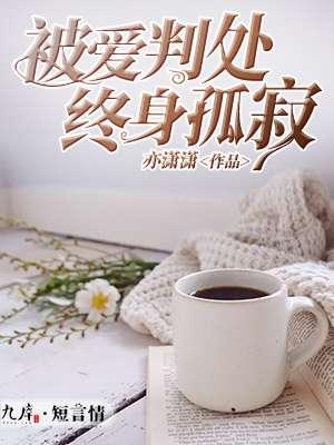我被爱判处终身孤寂歌词