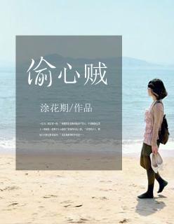 偷心贼原唱完整版