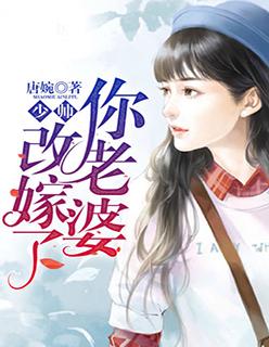 你老婆又丢了全文免费阅读在线