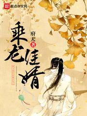 乘龙佳婿的成语故事