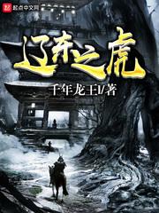 辽东之虎在线阅读免费完整版