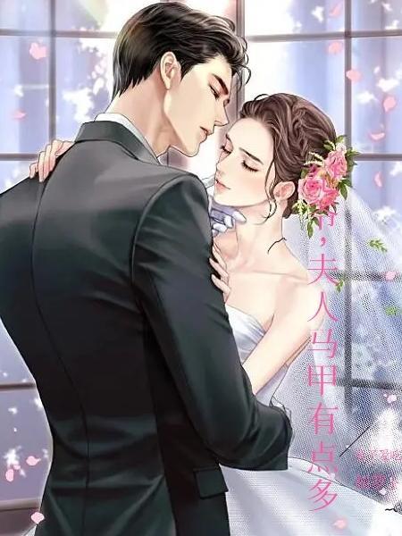 顾爷夫人马甲