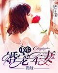 重生军婚宠妻无度
