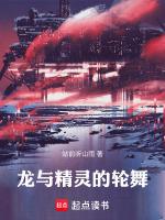 龙与精灵的委托
