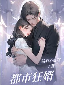 都市狂婿叶辰