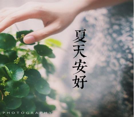 夏天早安问候语简短一句话