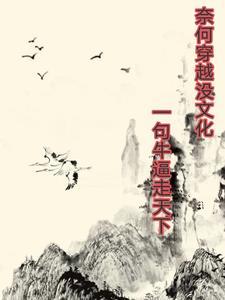 奈何没有文化
