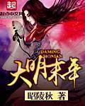 大明末年艾新的真实身份