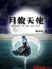 天狼月季花图片大全