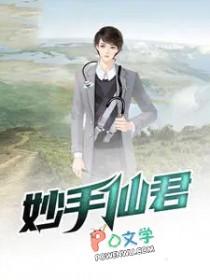 神仙妙手的近义词