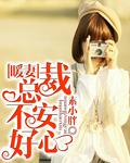 暖妻总裁别玩了免费阅读全文